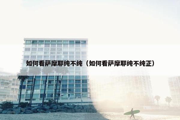 如何看萨摩耶纯不纯（如何看萨摩耶纯不纯正）