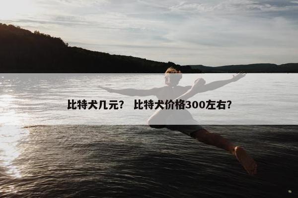 比特犬几元? 比特犬价格300左右?