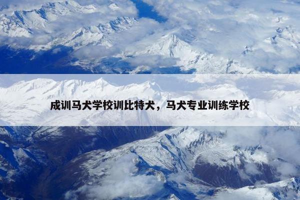 成训马犬学校训比特犬，马犬专业训练学校