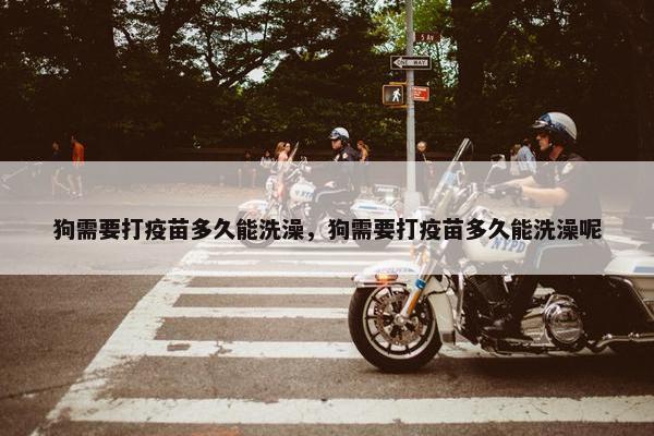 狗需要打疫苗多久能洗澡，狗需要打疫苗多久能洗澡呢