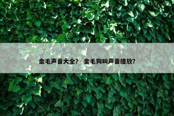 金毛声音大全？ 金毛狗叫声音播放？