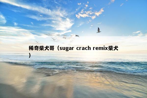 稀奇柴犬哥(sugar crach remix柴犬)