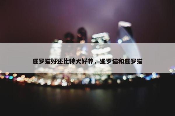 一字