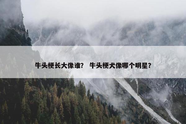 牛头梗长大像谁？ 牛头梗犬像哪个明星？