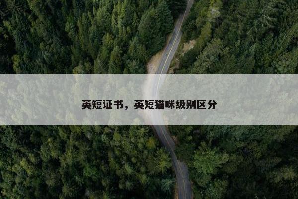 证书