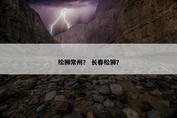 松狮常州? 长春松狮?