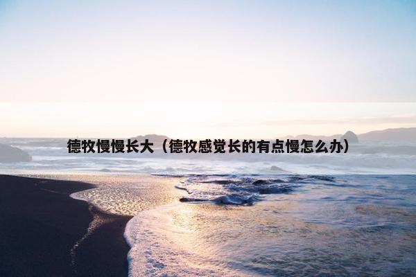 德牧慢慢长大(德牧感觉长的有点慢怎么办)