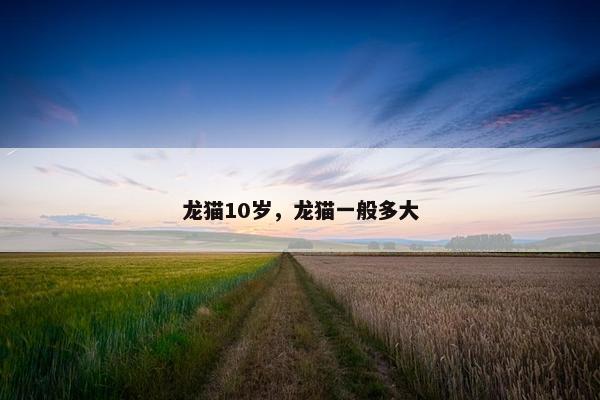 龙猫10岁，龙猫一般多大
