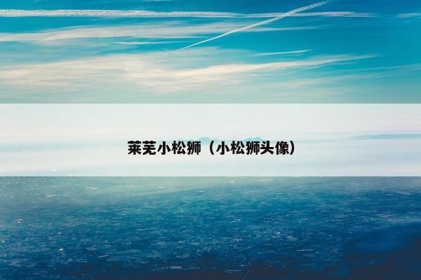 莱芜小松狮（小松狮头像）