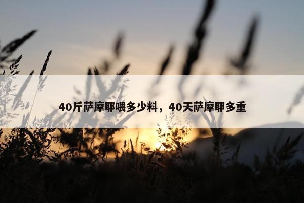 40斤萨摩耶喂多少料，40天萨摩耶多重
