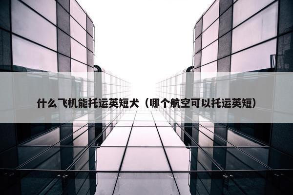 航空公司