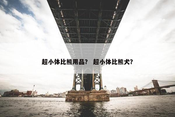 超小体比熊用品？ 超小体比熊犬？