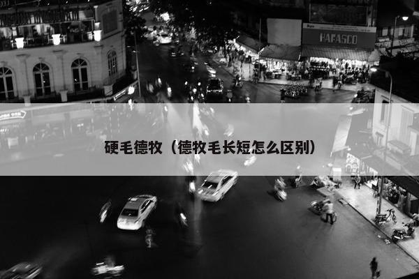 硬毛德牧(德牧毛长短怎么区别)