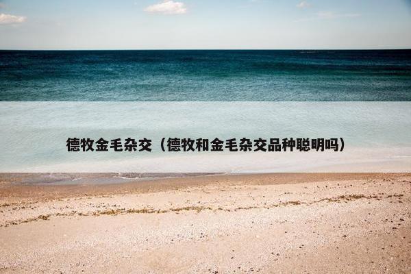 德牧金毛杂交(德牧和金毛杂交品种聪明吗)