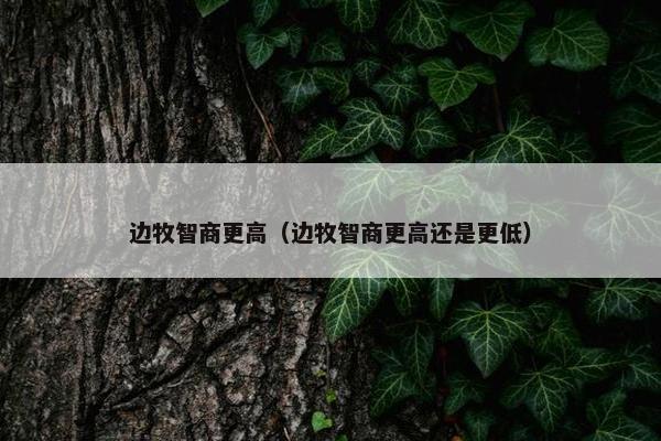 边牧智商更高（边牧智商更高还是更低）