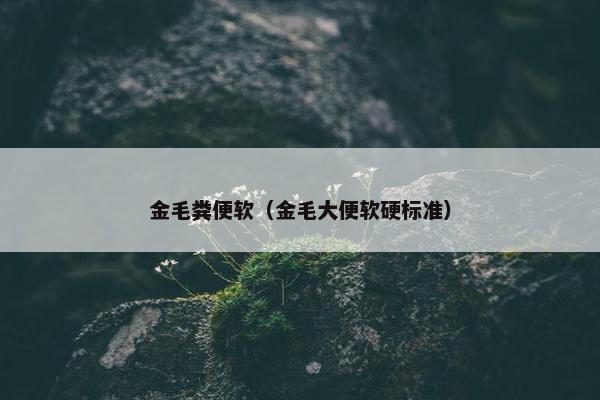 金毛粪便软(金毛大便软硬标准)