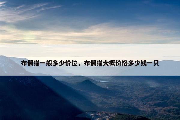 布偶猫一般多少价位,布偶猫大概价格多少钱一只