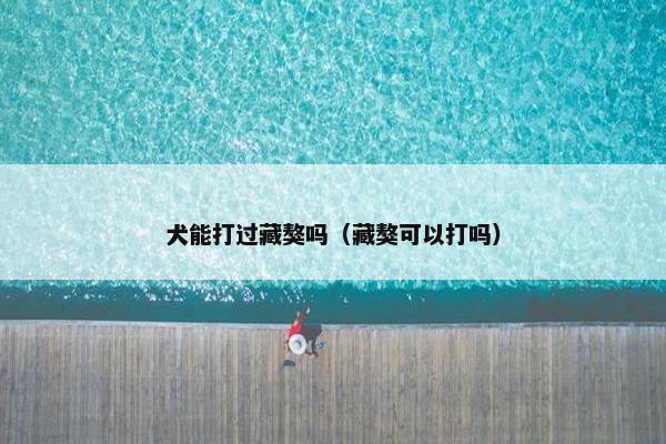 高加索
