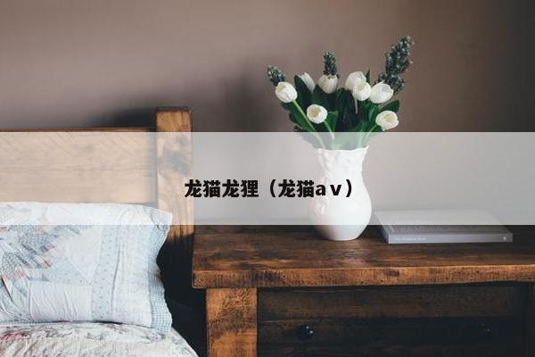 龙猫龙狸（龙猫aⅴ）