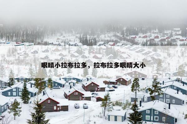 眼睛小拉布拉多，拉布拉多眼睛大小