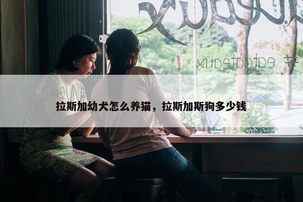 拉斯加幼犬怎么养猫，拉斯加斯狗多少钱