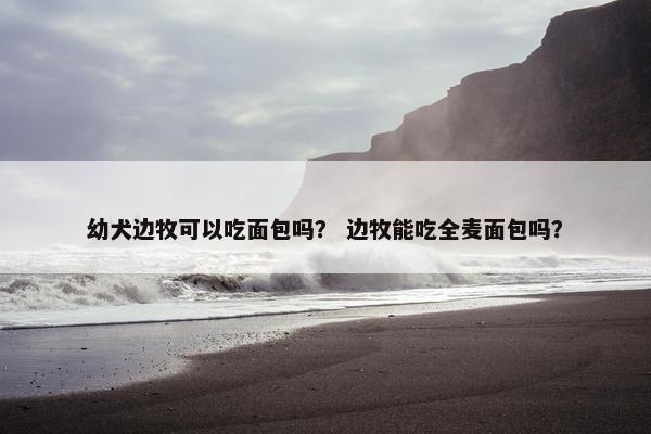 幼犬边牧可以吃面包吗？ 边牧能吃全麦面包吗？