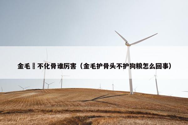 僵尸