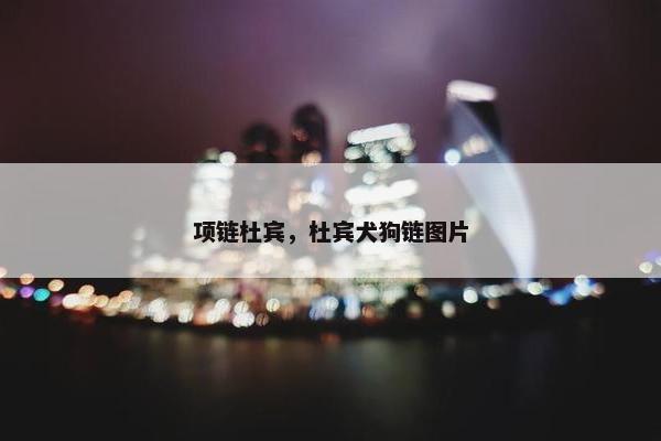 项链杜宾，杜宾犬狗链图片
