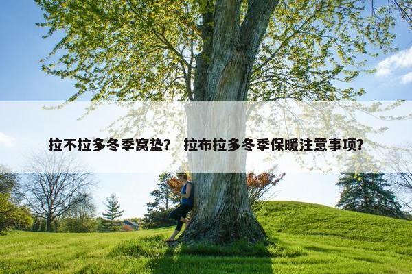 拉不拉多冬季窝垫？ 拉布拉多冬季保暖注意事项？