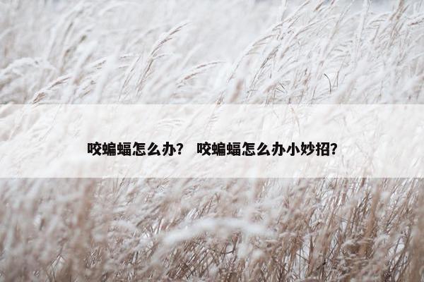 咬蝙蝠怎么办？ 咬蝙蝠怎么办小妙招？