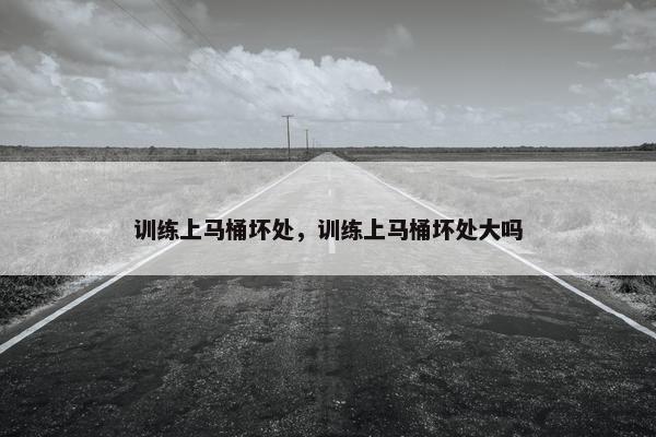 训练上马桶坏处，训练上马桶坏处大吗
