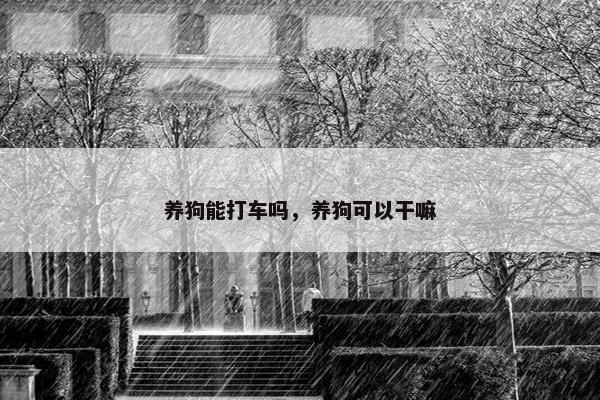 养狗能打车吗，养狗可以干嘛