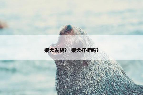 柴犬发货？ 柴犬打折吗？