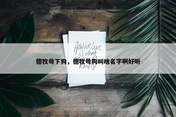 德牧母下狗，德牧母狗叫啥名字啊好听
