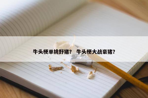 牛头梗单挑野猪？ 牛头梗大战豪猪？