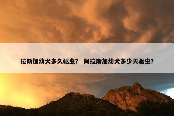 驱虫药