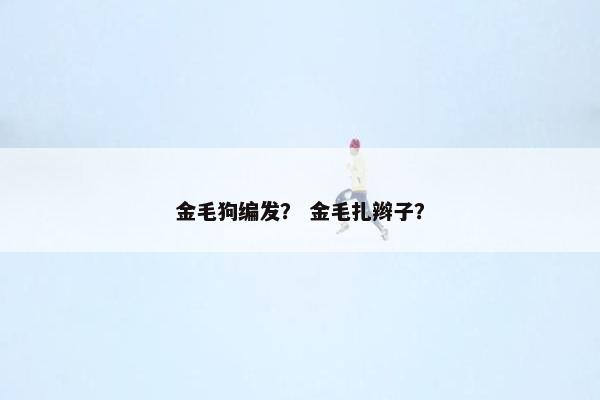 金毛狗编发？ 金毛扎辫子？