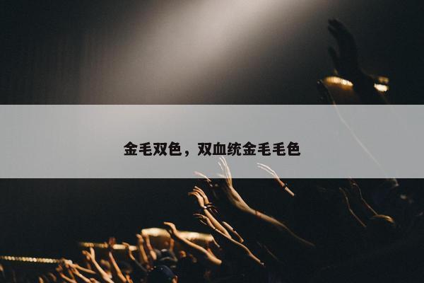 金毛双色，双血统金毛毛色