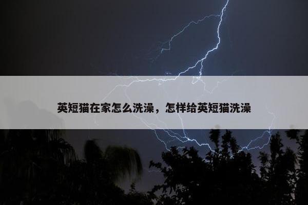 英短猫在家怎么洗澡，怎样给英短猫洗澡