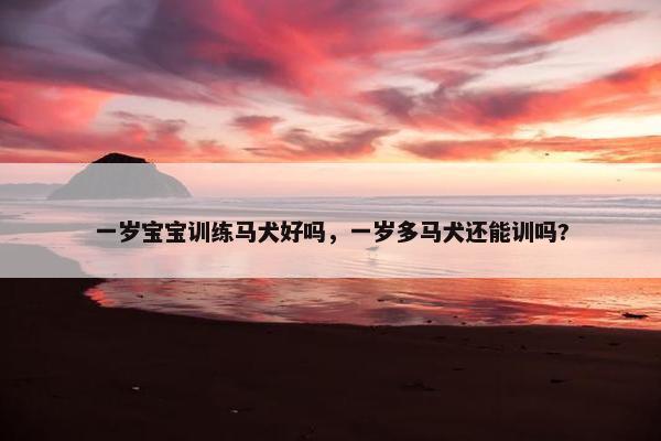 一岁宝宝训练马犬好吗，一岁多马犬还能训吗?