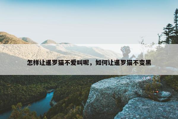 怎样让暹罗猫不爱叫呢,如何让暹罗猫不变黑