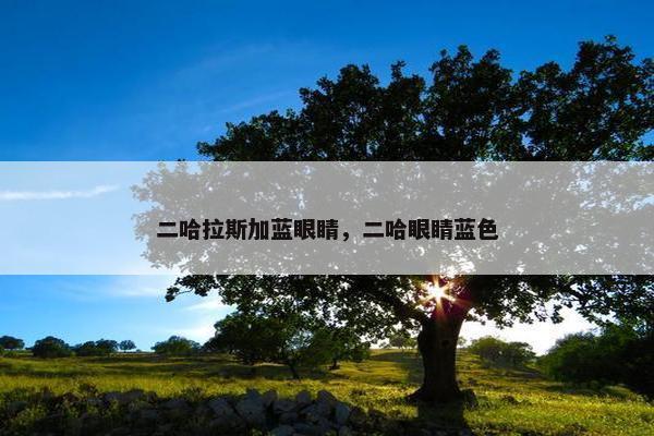 二哈拉斯加蓝眼睛，二哈眼睛蓝色