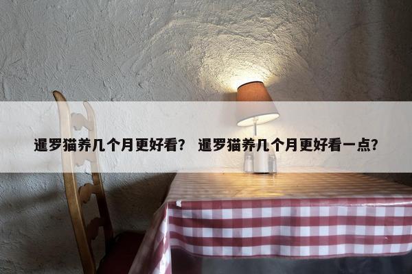 暹罗猫养几个月更好看? 暹罗猫养几个月更好看一点?