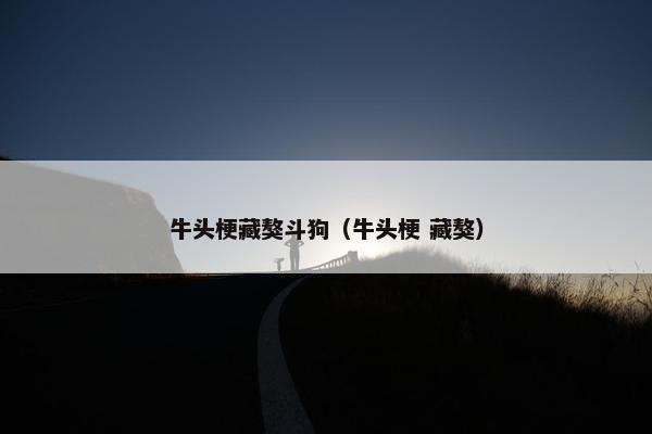 十大