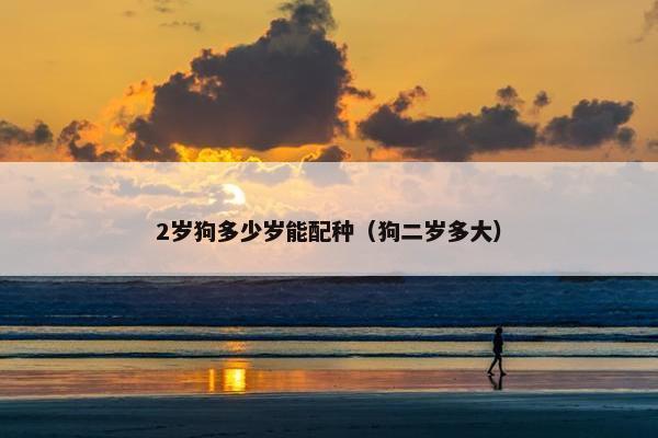 2岁狗多少岁能配种（狗二岁多大）