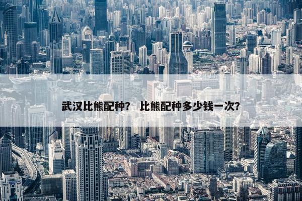 武汉比熊配种？ 比熊配种多少钱一次？