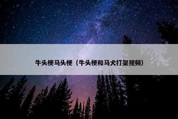 牛头梗马头梗（牛头梗和马犬打架视频）