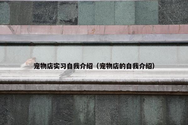 宠物店实习自我介绍（宠物店的自我介绍）