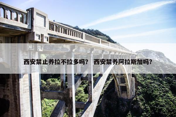 西安禁止养拉不拉多吗？ 西安禁养阿拉斯加吗？