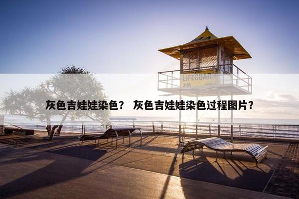 灰色吉娃娃染色？ 灰色吉娃娃染色过程图片？
